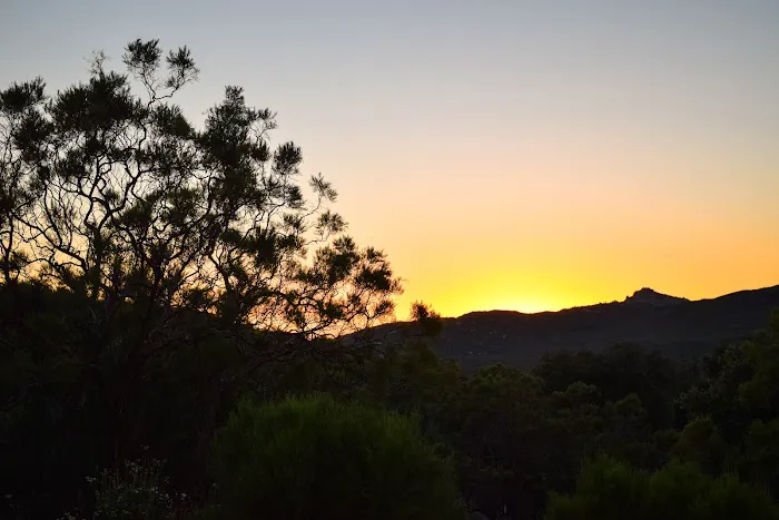 Bobcat Meadow Campground Picture 7