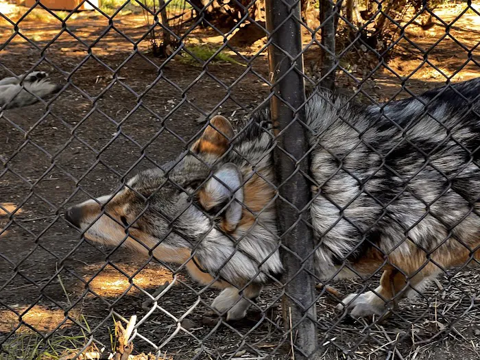 KQ Ranch RV Resort Picture 3