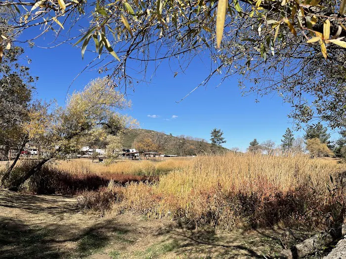 KQ Ranch RV Resort Picture 2