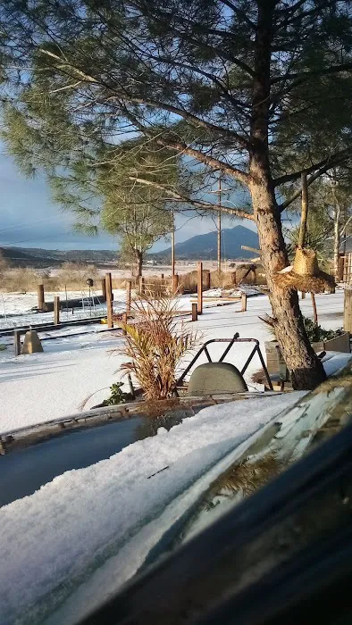 Rancho de Cumpas Picture 3