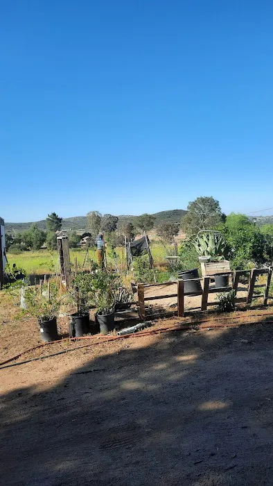 Rancho de Cumpas Picture 1