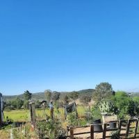 Rancho de Cumpas ico