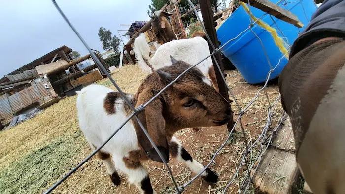 Rancho de Cumpas Picture 7