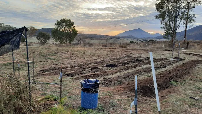 Rancho de Cumpas Picture 8