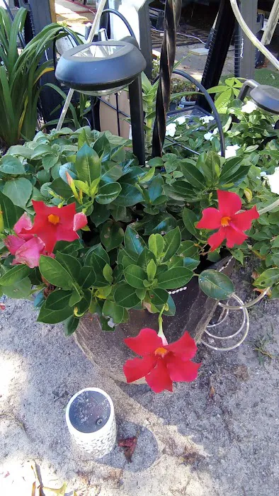 Rainbow RV Park Picture 2