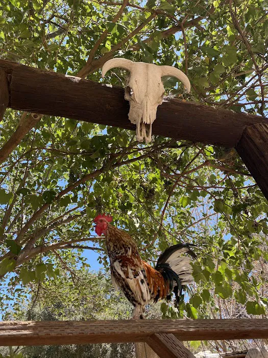 Rancho La Xocoyota Picture 2