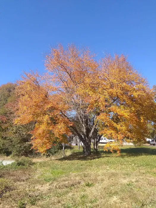 Boulevard Mobile Home Park Picture 2