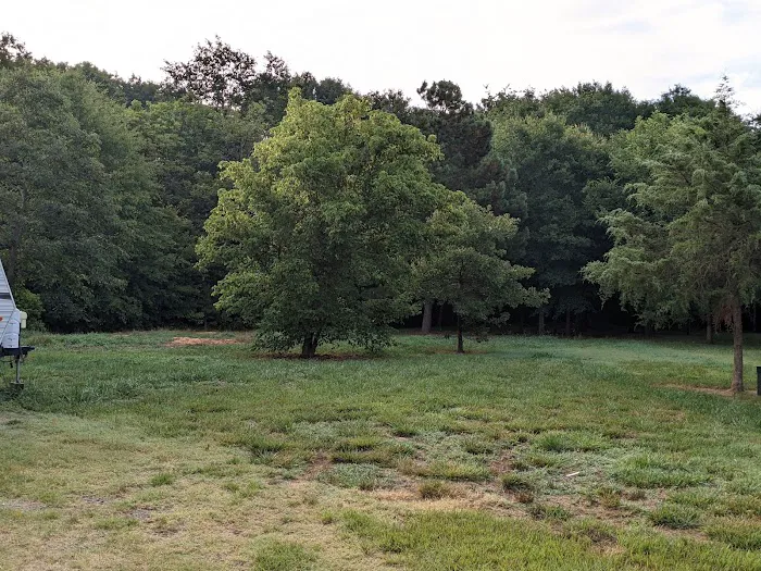 Southern Shade RV Park Picture 10