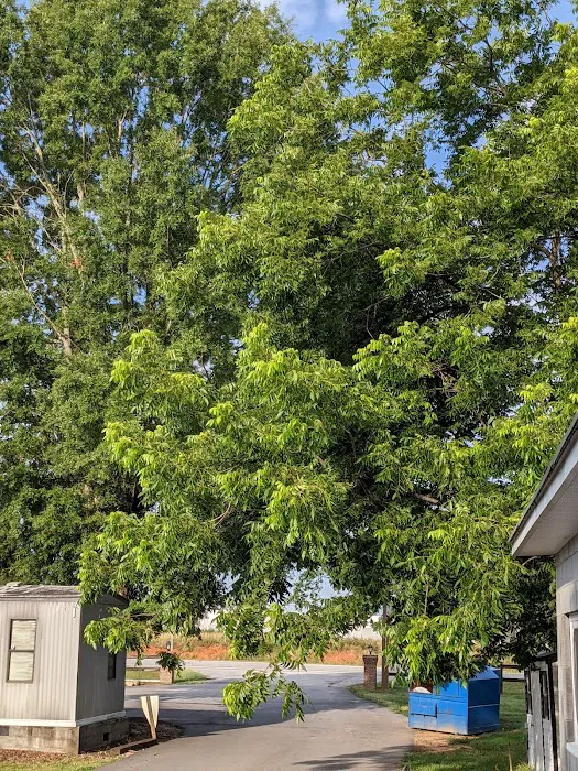 Southern Shade RV Park Picture 9