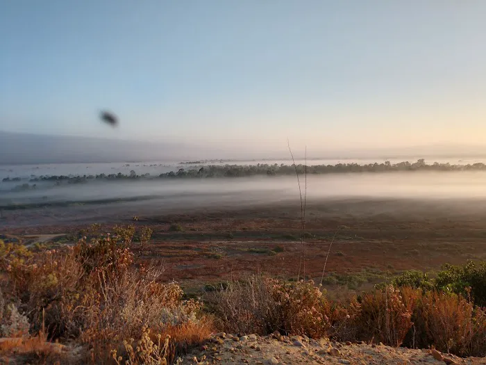 Tijuana River Valley Campground Picture 1