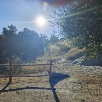 Pavo Group Campsite ico