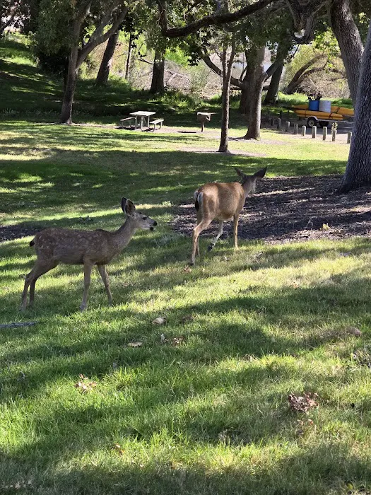 Lopez Lake Campground (entrance) Picture 4