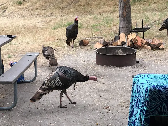 Lopez Lake Campground (entrance) Picture 9