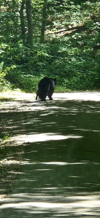 Ashley Creek RV Park Picture 1