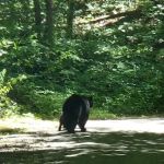 Ashley Creek RV Park