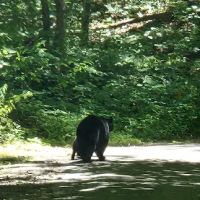 Ashley Creek RV Park ico