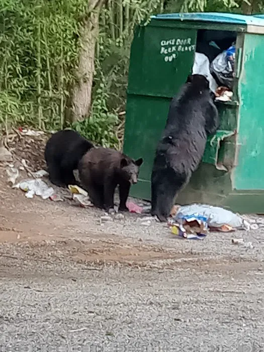 Ashley Creek RV Park Picture 8