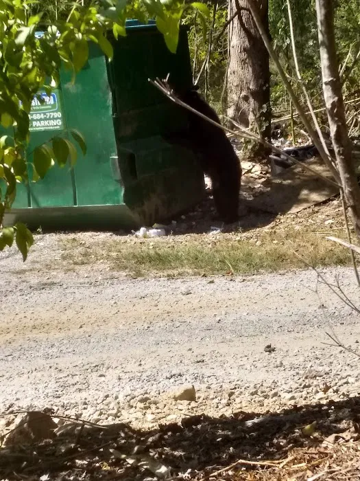 Ashley Creek RV Park Picture 10