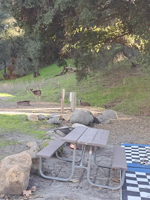 Conejo Campsite Picture 6
