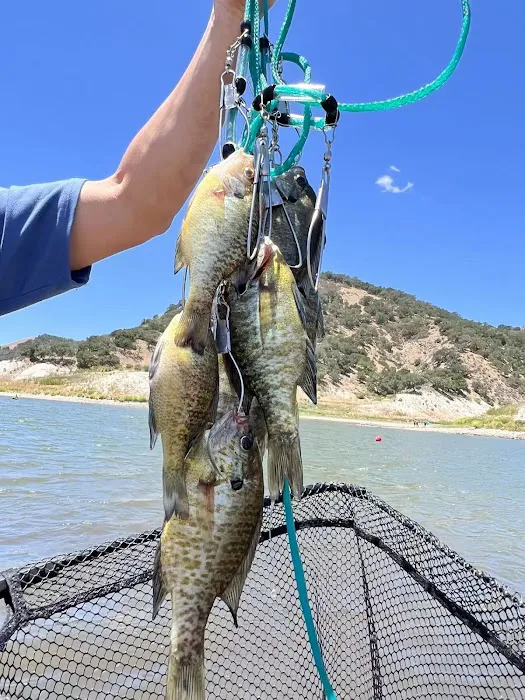 Conejo Campsite Picture 1