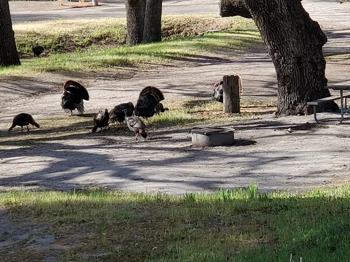 Conejo Campsite Picture 3