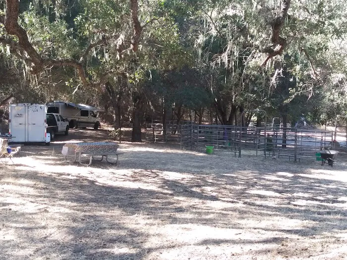 Blackfoot Campsite Picture 3