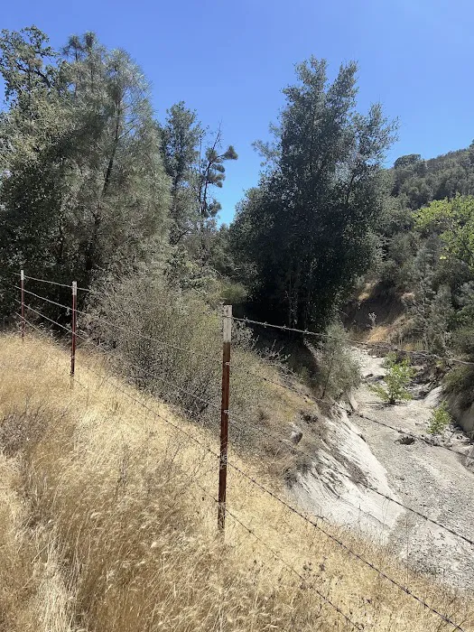 Blackfoot Campsite Picture 4