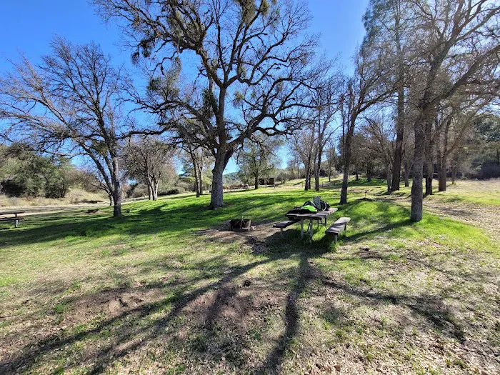 Friis Campground Picture 9