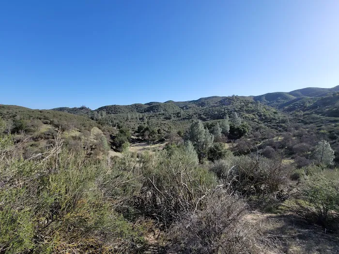 Friis Campground Picture 4