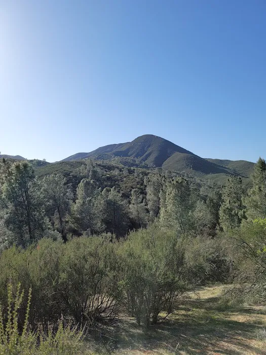 Friis Campground Picture 5