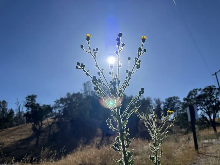 Santa Margarita Lake Recreation & Natural Area Picture 1