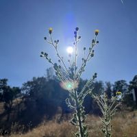 Santa Margarita Lake Recreation & Natural Area ico