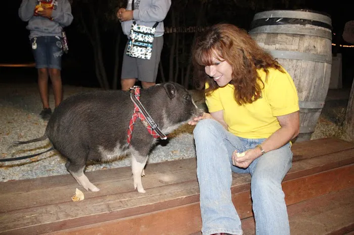 Santa Margarita KOA Holiday Picture 10