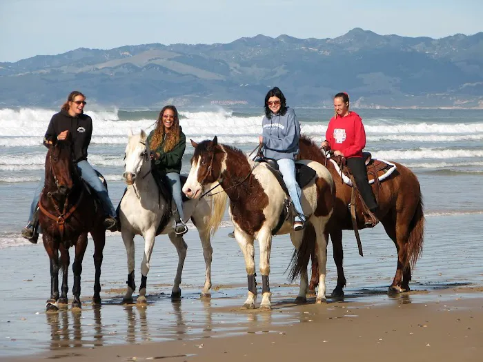 Pacific Dunes Ranch Campground Picture 5
