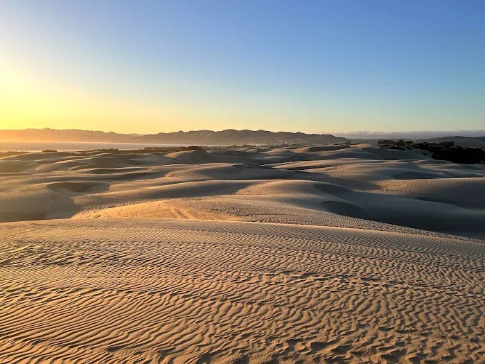 Pacific Dunes Ranch Campground Picture 6