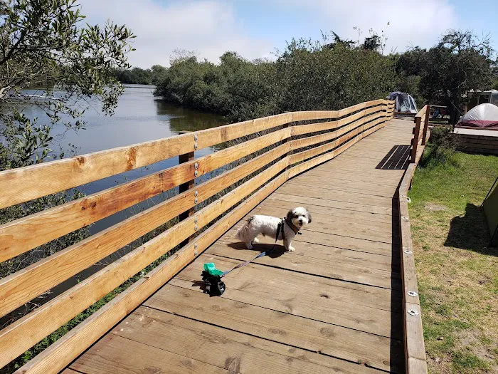 Oceano Campground Picture 1