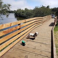 Oceano Campground ico