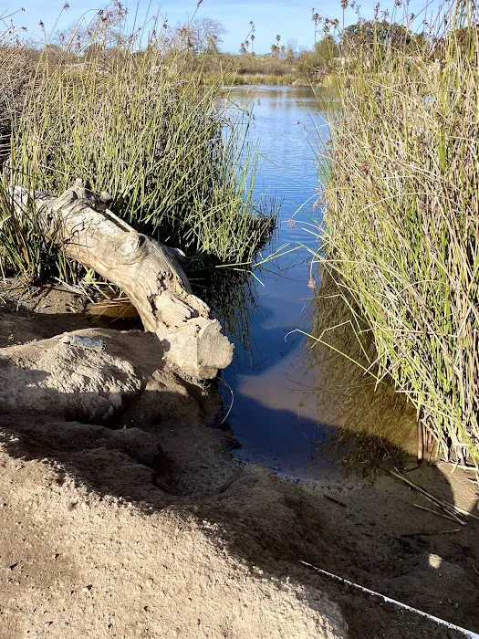 Oceano Campground Picture 7