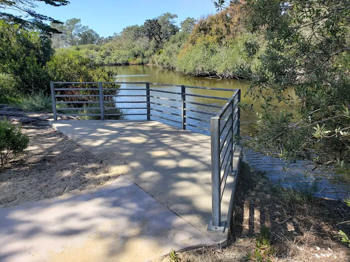 Oceano Campground Picture 2