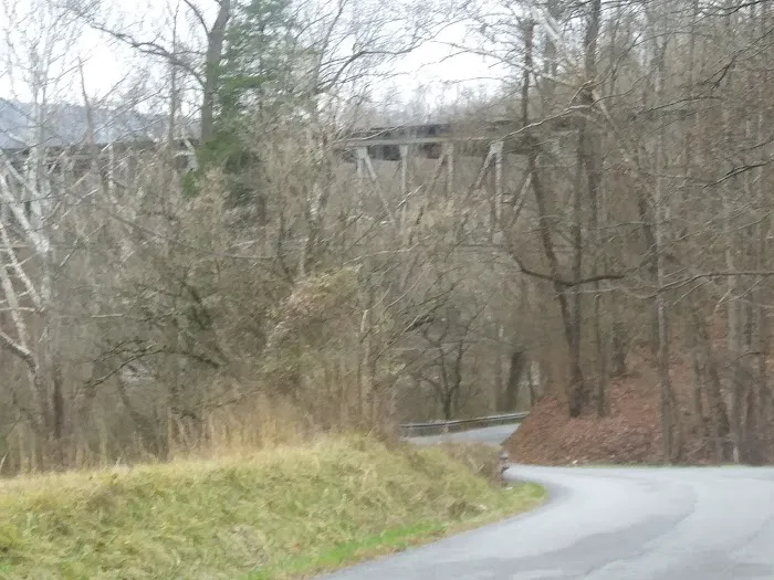 David Leedy Trailer Park Picture 5