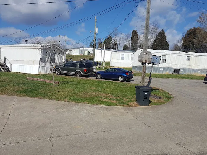 David Leedy Trailer Park Picture 4