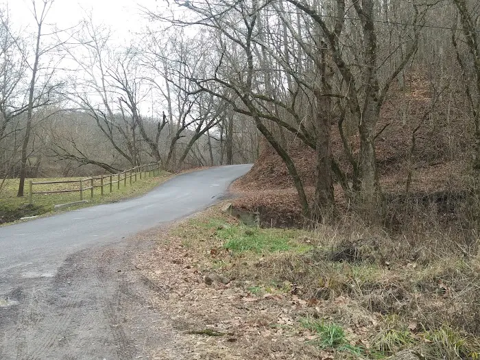 David Leedy Trailer Park Picture 7