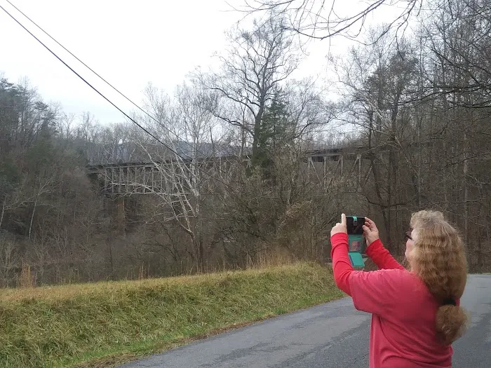 David Leedy Trailer Park Picture 8