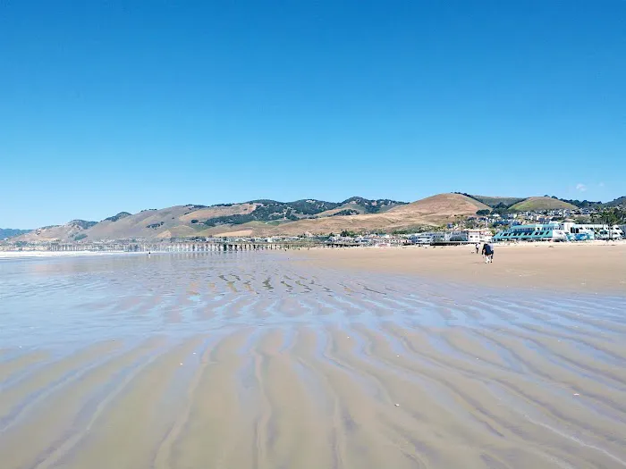 Oceano Campground - Pismo State Beach Picture 2