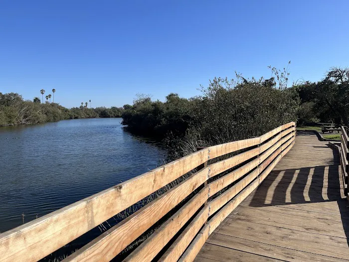 Oceano Campground - Pismo State Beach Picture 5