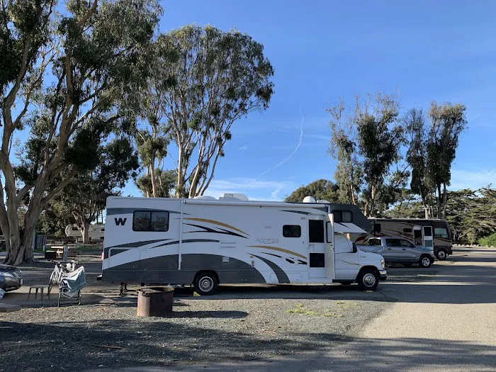 Oceano Campground - Pismo State Beach Picture 6