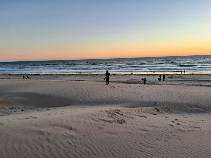 Oceano Campground - Pismo State Beach Picture 3
