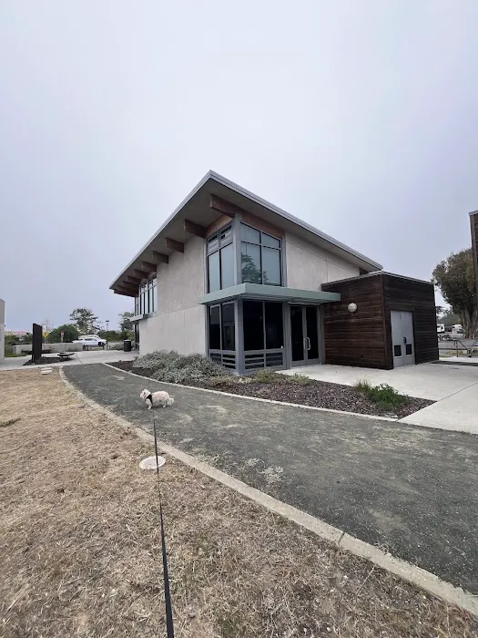 Oceano Campground - Pismo State Beach Picture 9