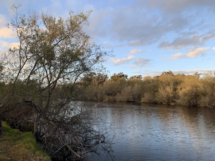Oceano Campground - Pismo State Beach Picture 10