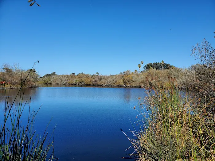 Oceano Campground - Pismo State Beach Picture 4